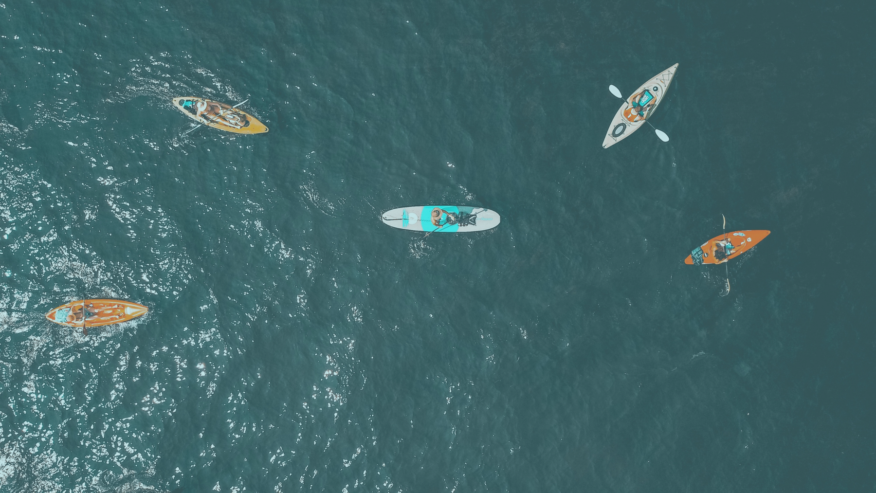 A group of kayakers on the open ocean.